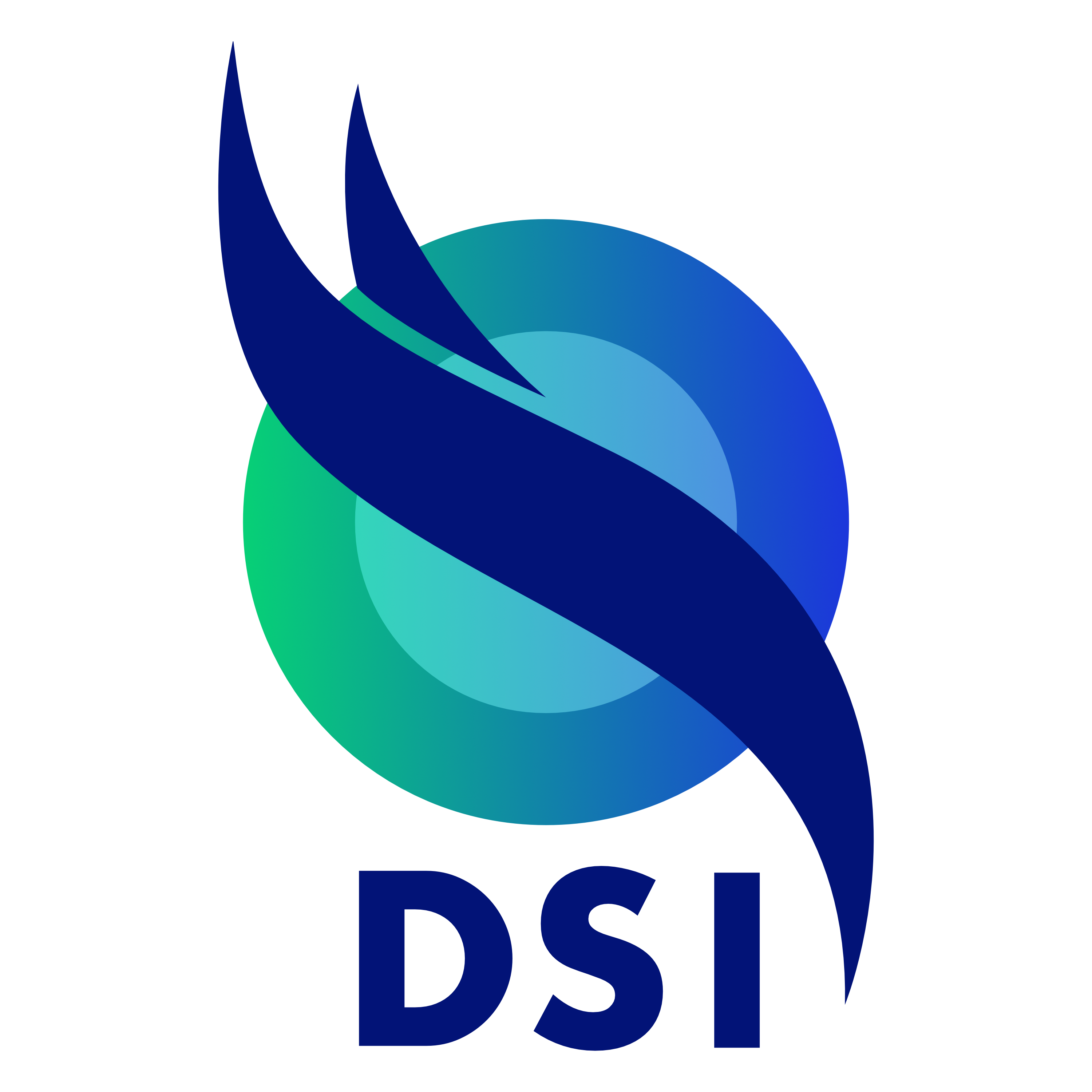 Digital Skills Institute Logo